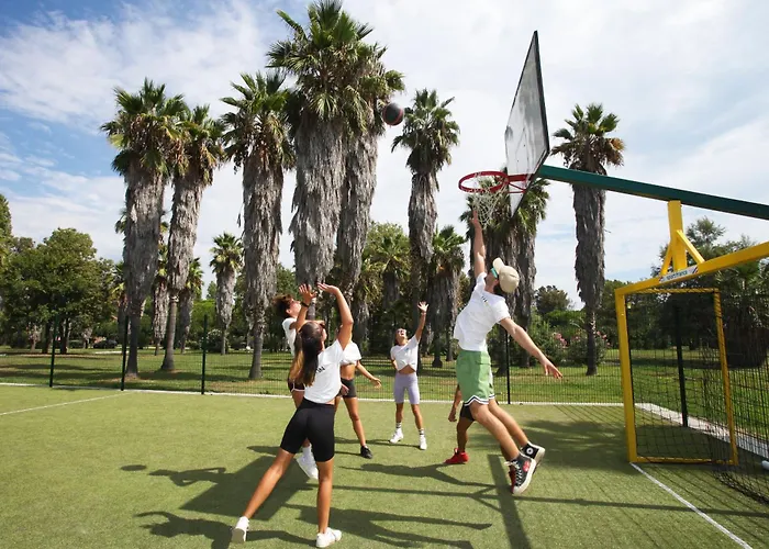 奥鲁码头假日村庄酒店 假日公园 4*