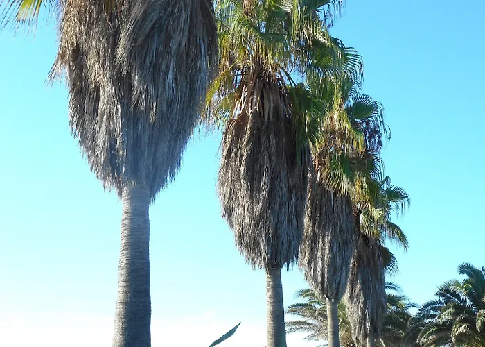 Aldeamento Turístico Village De Marina D'oru Ghisonaccia